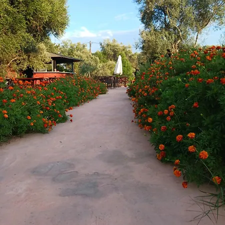 Rock Hotel apartamentowy